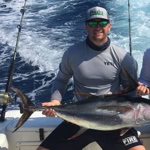 Meet your Posher, Grey